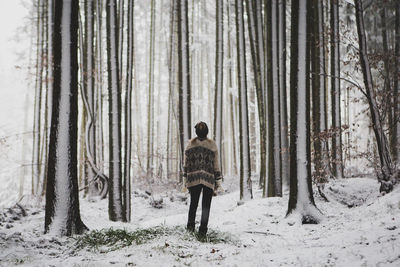 Rear view of woman standing in forest