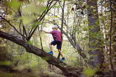 Boy climbing tree in forest