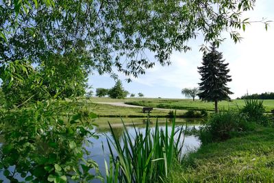 Scenic view of lake in field against sky