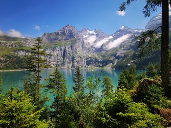 Scenic view of lake and trees against sky