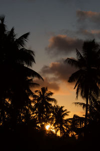 Low angle view of silhouette palm trees against sky during sunset