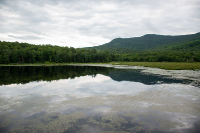 Scenic view of lake by trees against sky