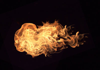 Close-up of fire against black background