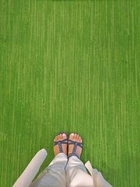 Low section of person standing on grass