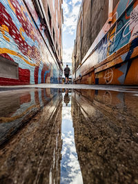 reflection