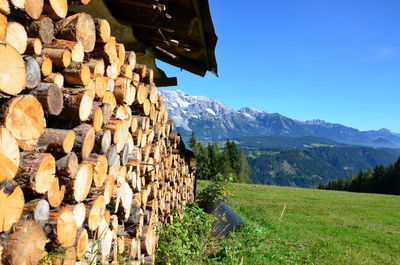 Stack of logs against mountain range