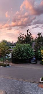 Street by trees against sky during sunset