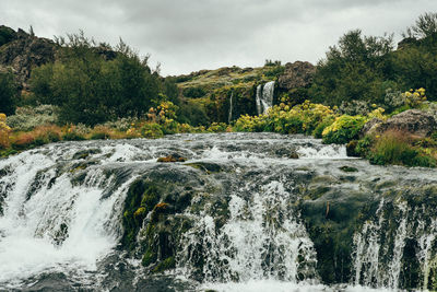 Scenic view of waterfall in forest against sky