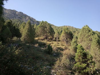 Scenic view of land against clear sky