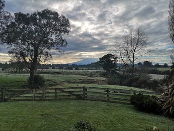 Scenic view of field against sky