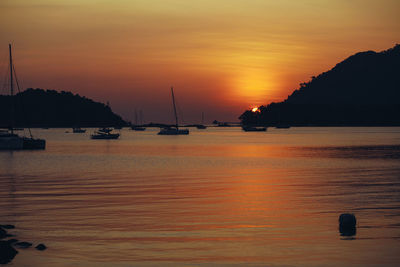 Silhouette sailboats in sea during sunset