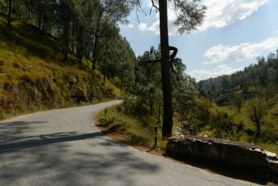 Road amidst trees against sky