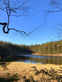 Scenic view of lake against clear sky