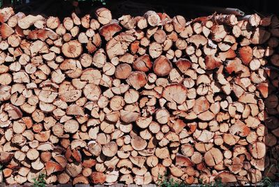 Full frame shot of logs in forest