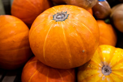 High angle view of pumpkins