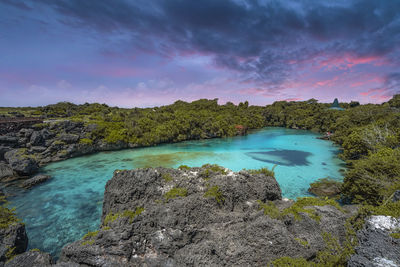 Scenic view of sea against sky