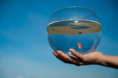 Cropped hand holding crystal ball against sky