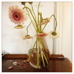 Close-up of flower pot in vase