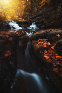 Scenic view of waterfall in forest at night