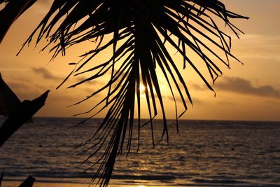 Silhouette palm tree by sea against sky during sunset