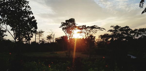 Silhouette trees on field against sky at sunset