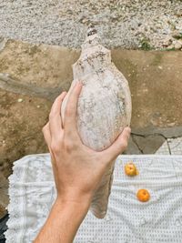 Cropped hand holding seashell outdoors