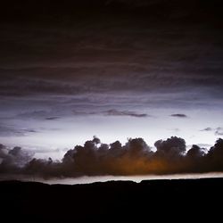 Silhouette of trees on landscape