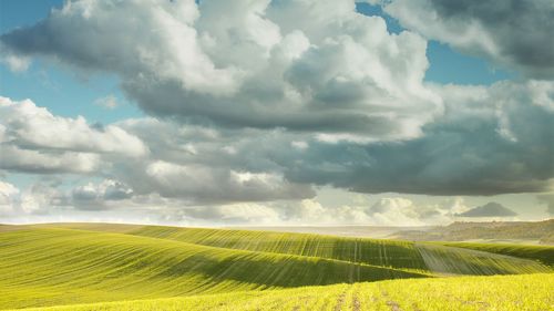 Scenic view of field against sky