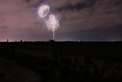 Firework display at night