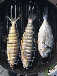 Close-up of meat on barbecue grill