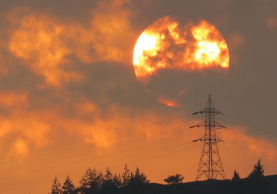 Low angle view of silhouette trees against orange sky
