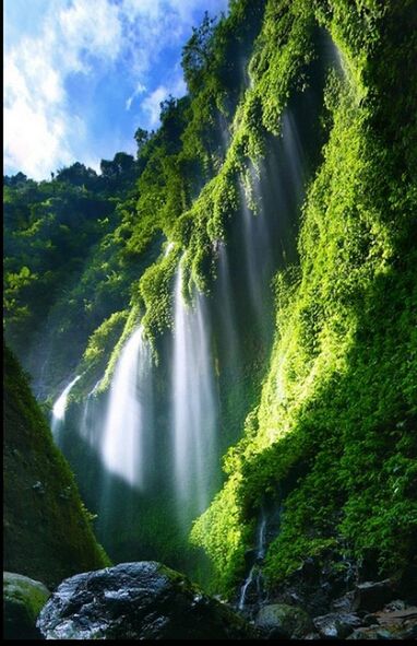 water, tree, beauty in nature, scenics, rock - object, nature, flowing water, waterfall, tranquility, tranquil scene, green color, forest, flowing, stream, moss, growth, rock formation, non-urban scene, motion, idyllic