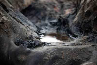 Close-up of water flowing through rocks