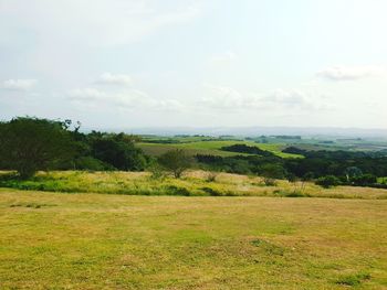 Scenic view of landscape against sky