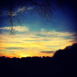 Silhouette trees against sky during sunset