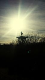 Low angle view of silhouette tree on field against sky during sunset