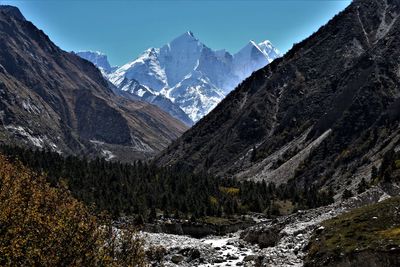 Gangotri to gaumukh, himalayas, uttara khand, india