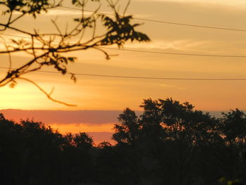 Silhouette trees against orange sky