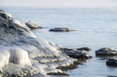 Frozen rocks by sea during winter