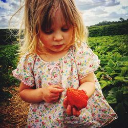 Close-up of girl holding strawberry while standing on field