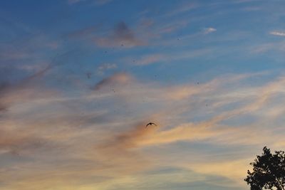 Low angle view of birds flying in sky