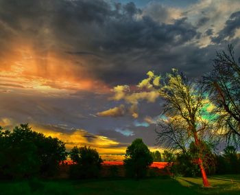 Trees on field against sky at sunset