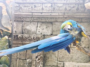Blue umbrella on stone wall