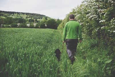 Full length rear view of man walking with dog on grassy field