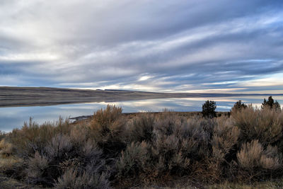 Scenic view of landscape against sky