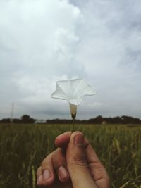 Hand holding umbrella on field against sky