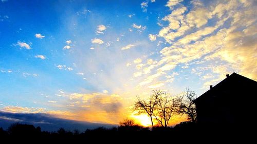 Silhouette of trees at sunset