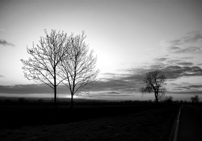 Silhouette bare tree on field against sky