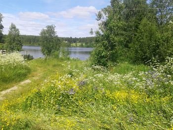 Scenic view of lake against sky