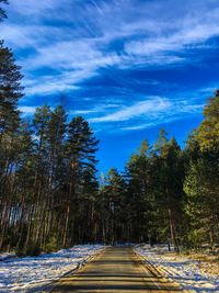 Road amidst trees against sky